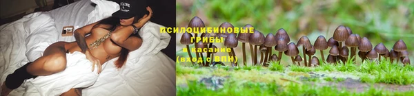 метамфетамин Россошь