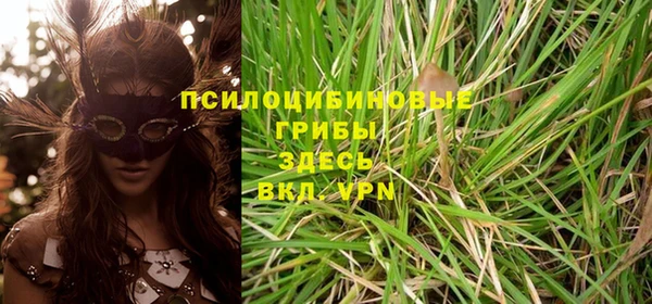2c-b Рославль